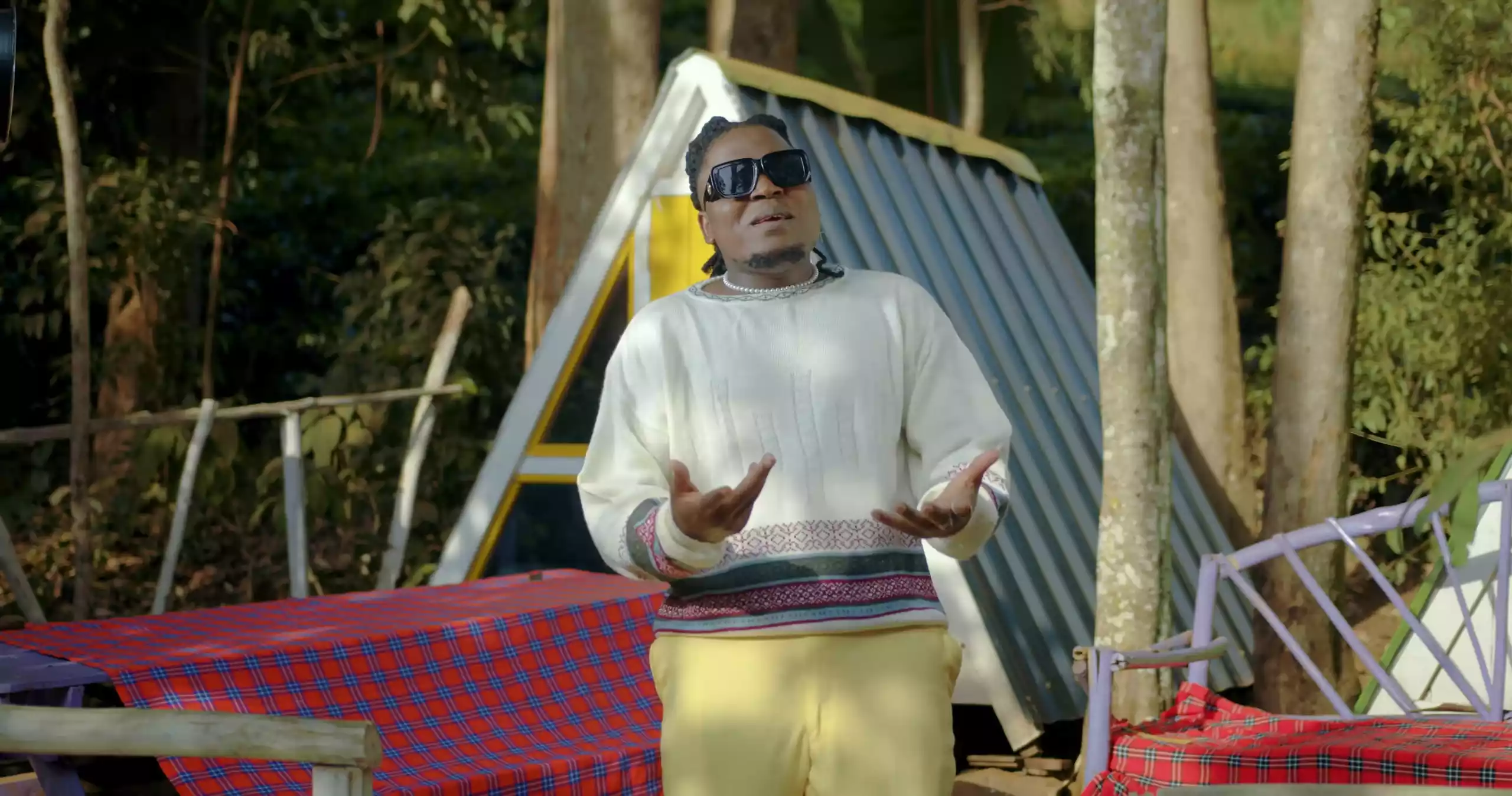 B Classic 006 Stella Video