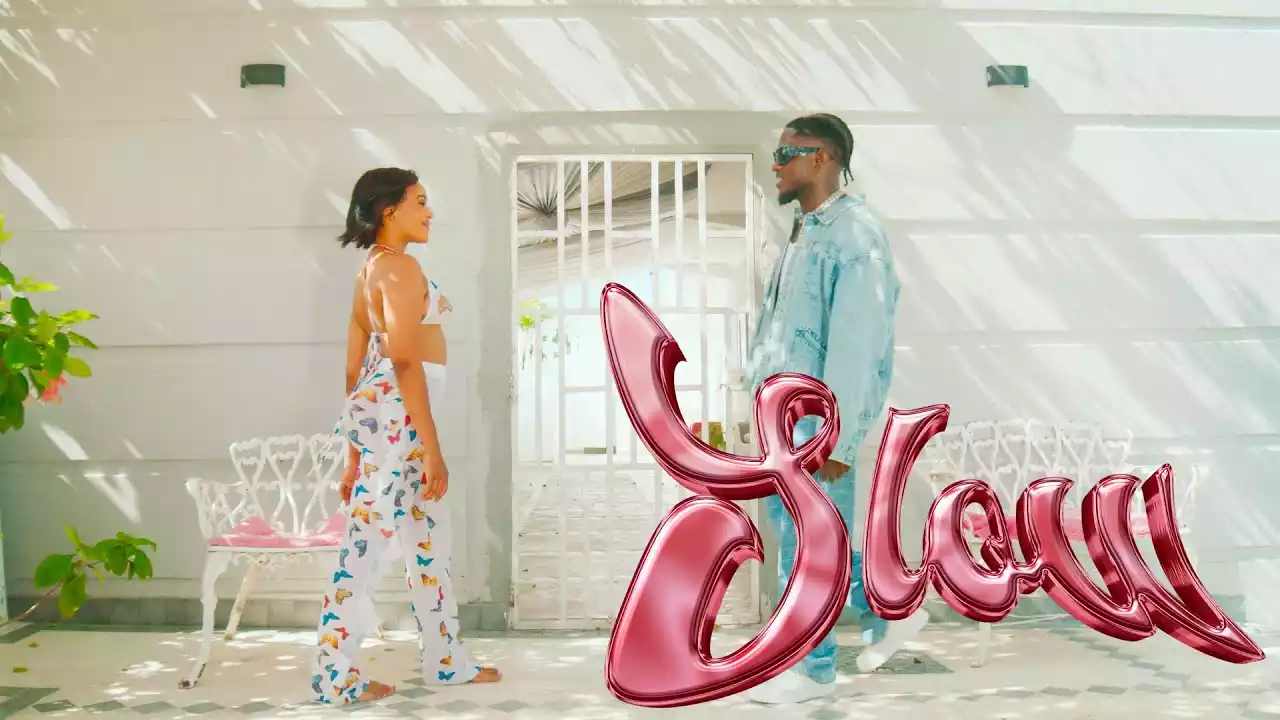 Bruce Africa Slow Video Download