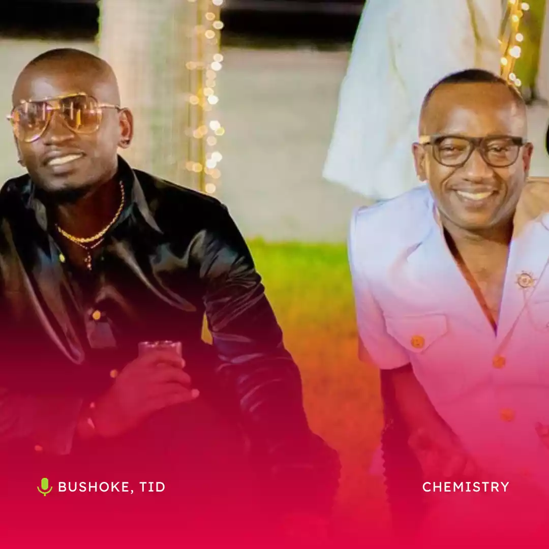 Bushoke ft TID Chemistry Mp3 Download