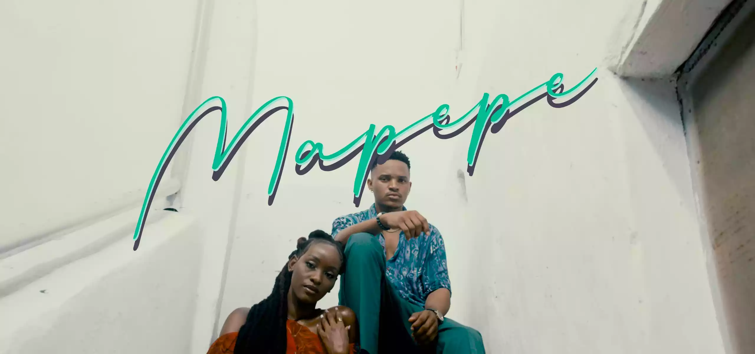 Platform TZ Mapepe Video