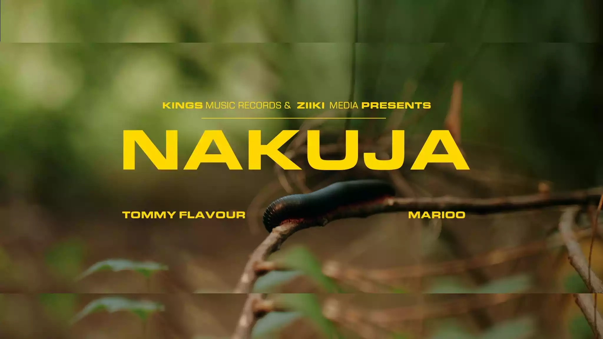 Tommy Flavour feat Marioo NakujaVideo