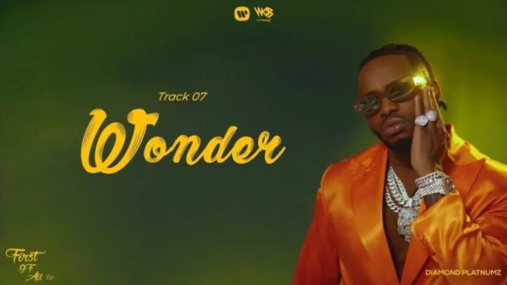 Wonder AUDIO DIAMOND