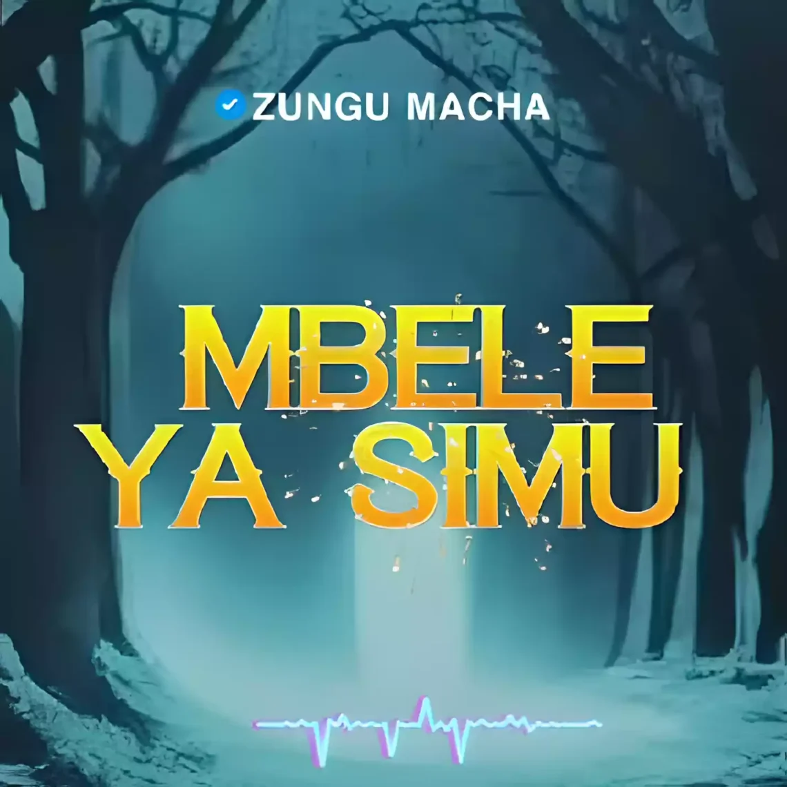mbele ya simu zungu macha