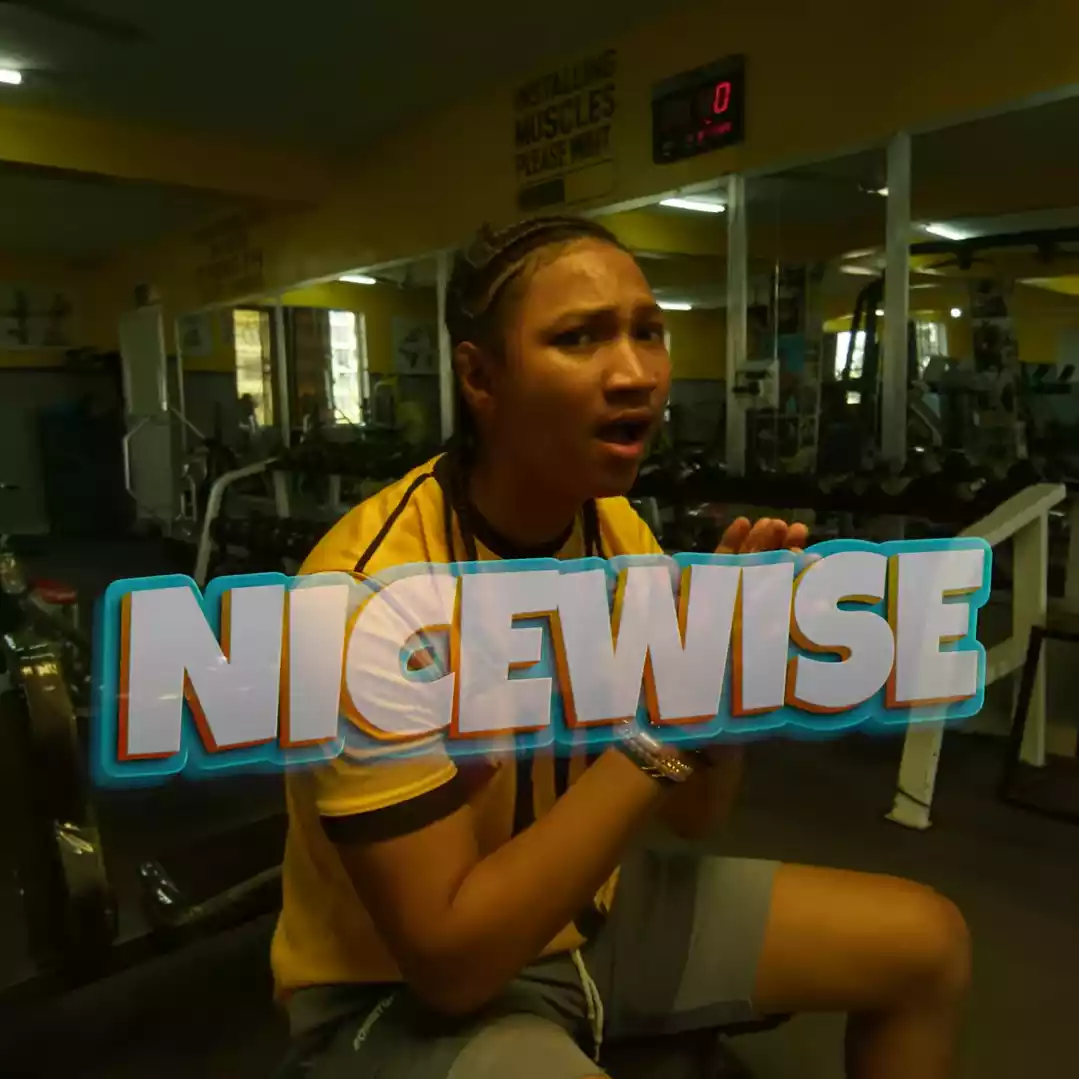 wengine nicewise