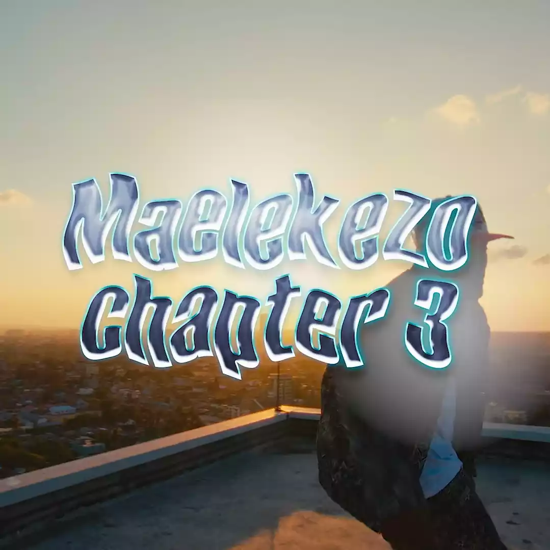 Maelekezo Chapter 3 Video By Moni Centrozone