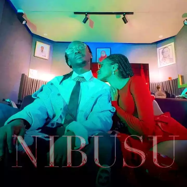 Nibusu Visualizer Video By Barnaba ft Yammi