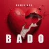Hamis Bss Bado