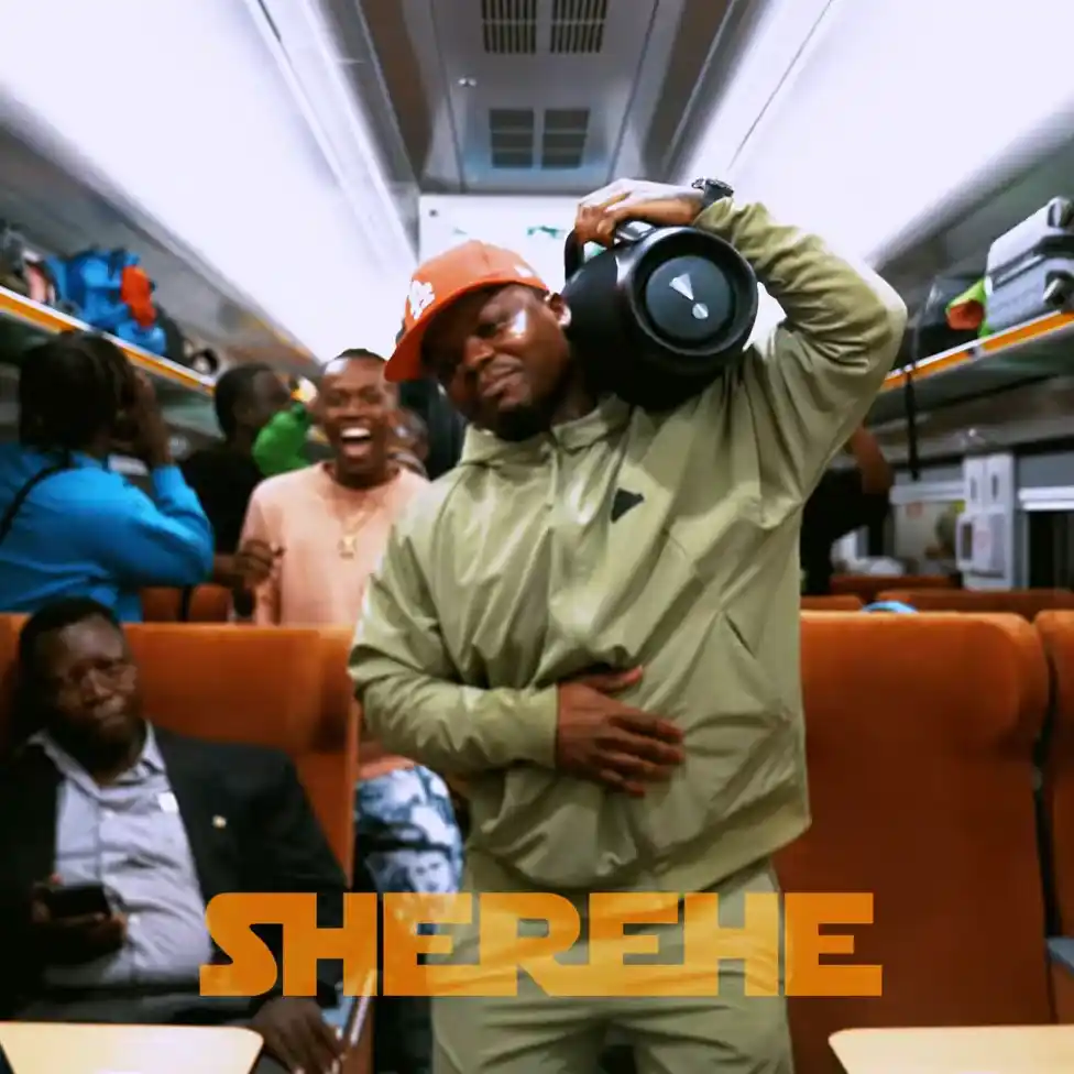 Sherehe Video Lyrics By Harmonize