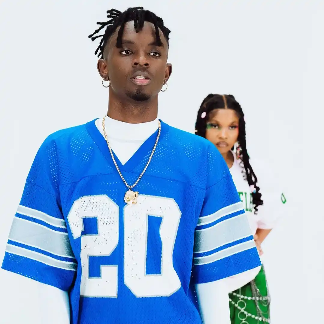 Nani Video By D Voice ft Zuchu