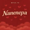 Nanenepac