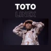 linextoto