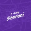 shuhunic